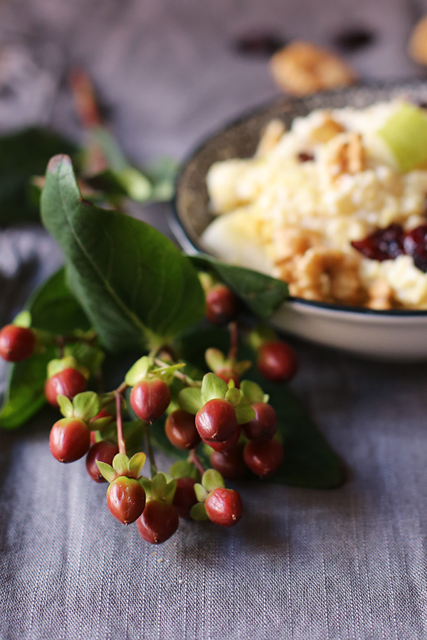 Rezept Frühstücks-Hirse mit Birne, Cranberrys, Walnüssen und Ingwer 